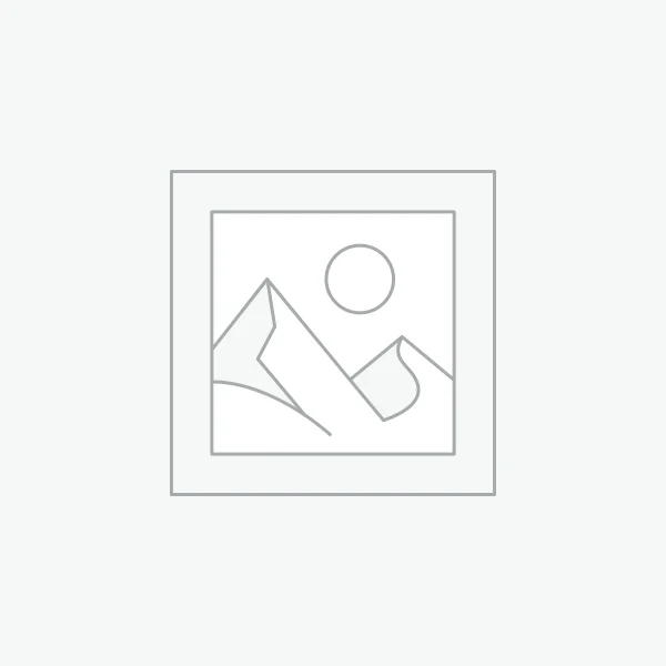 Hummer New York Limousine